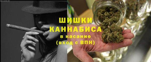 стаф Ветлуга