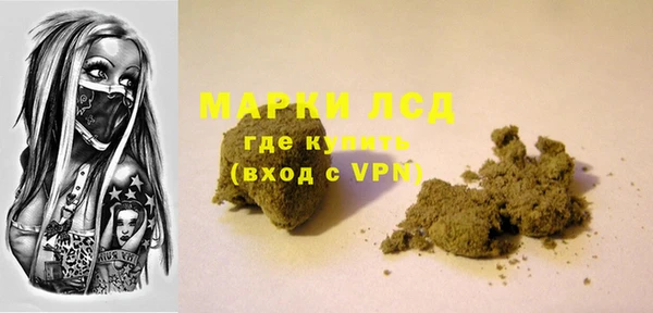 стаф Осташков